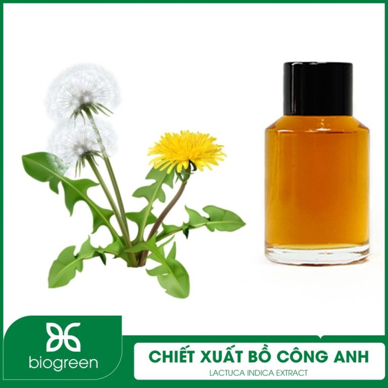 Chiết xuất bồ công anh dùng trong mỹ phẩm