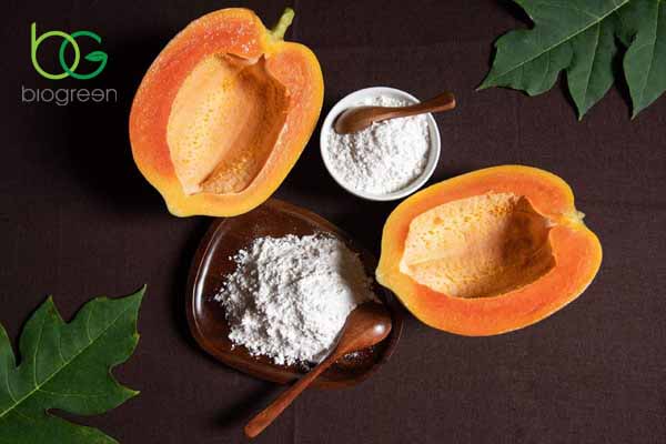 Papain được chiết xuất và sản xuất như thế nào?