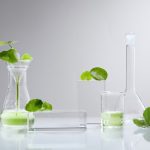 Bí quyết tự nhiên cho vẻ đẹp bền vững "chiết xuất dược liệu"