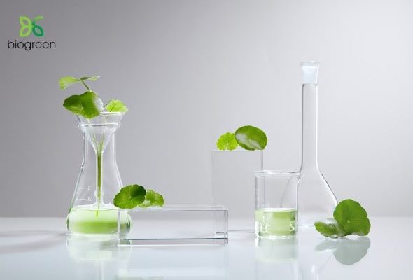 Bí quyết tự nhiên cho vẻ đẹp bền vững "chiết xuất dược liệu"