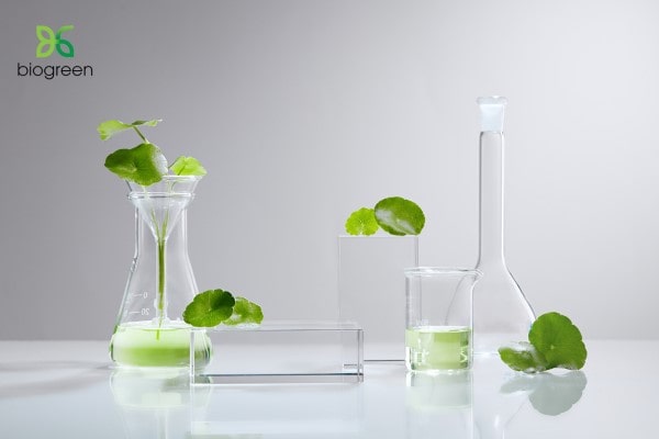 Bí quyết tự nhiên cho vẻ đẹp bền vững "chiết xuất dược liệu"